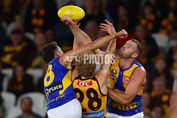AFL 2025 Round 07 - Hawthorn v West Coast - A-59024297