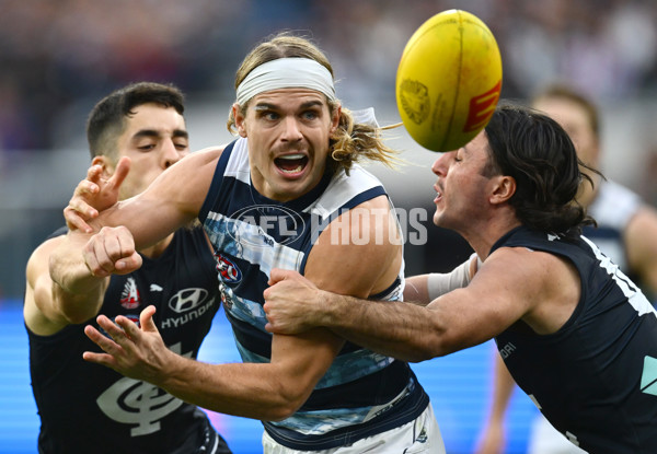 AFL 2025 Round 07 - Carlton v Geelong - A-59026016