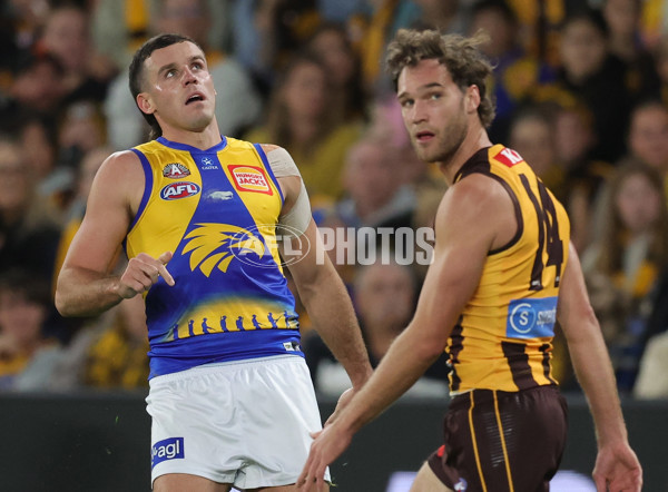 AFL 2025 Round 07 - Hawthorn v West Coast - A-59026029
