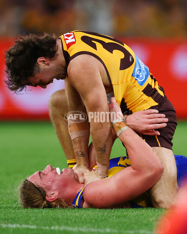 AFL 2025 Round 07 - Hawthorn v West Coast - A-59026045