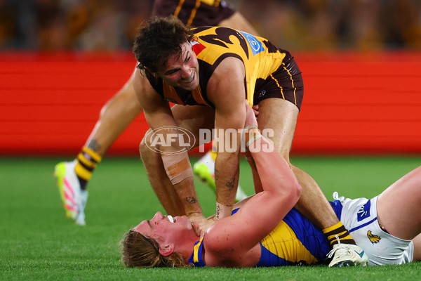 AFL 2025 Round 07 - Hawthorn v West Coast - A-59026046
