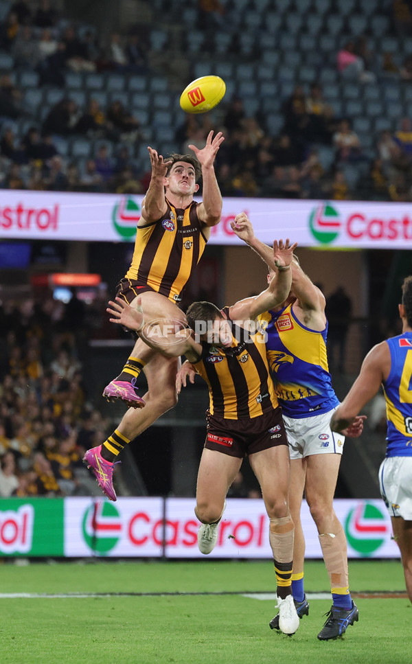 AFL 2025 Round 07 - Hawthorn v West Coast - A-59026063