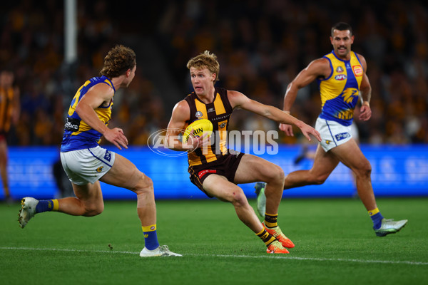 AFL 2025 Round 07 - Hawthorn v West Coast - A-59026075