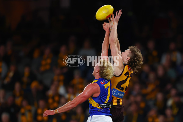 AFL 2025 Round 07 - Hawthorn v West Coast - A-59026078