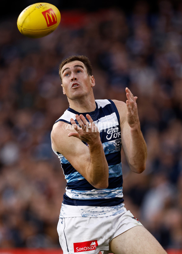 AFL 2025 Round 07 - Carlton v Geelong - A-59026092