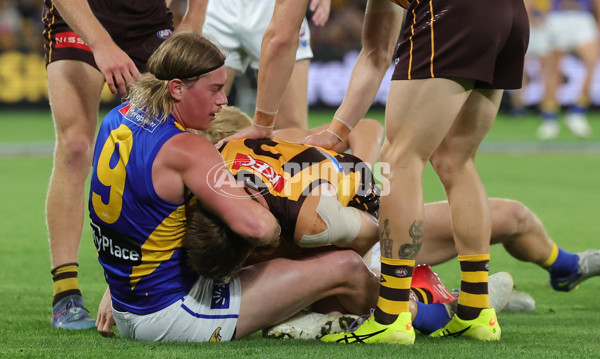 AFL 2025 Round 07 - Hawthorn v West Coast - A-59026100