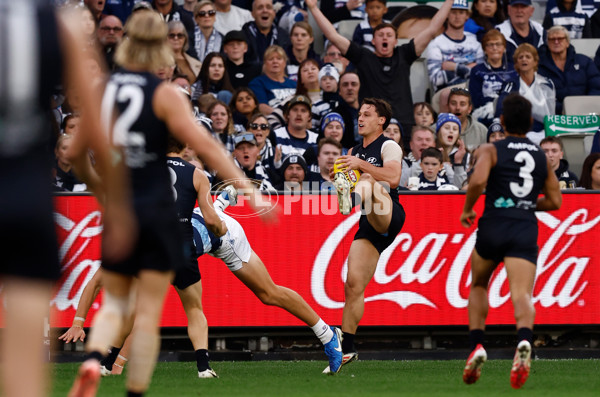 AFL 2025 Round 07 - Carlton v Geelong - A-59026625