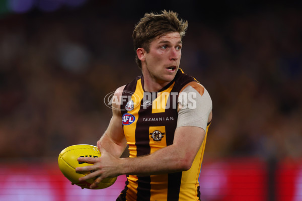 AFL 2025 Round 07 - Hawthorn v West Coast - A-59026631