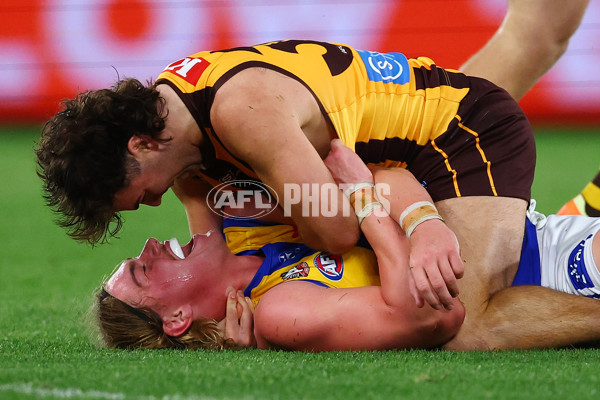 AFL 2025 Round 07 - Hawthorn v West Coast - A-59026636