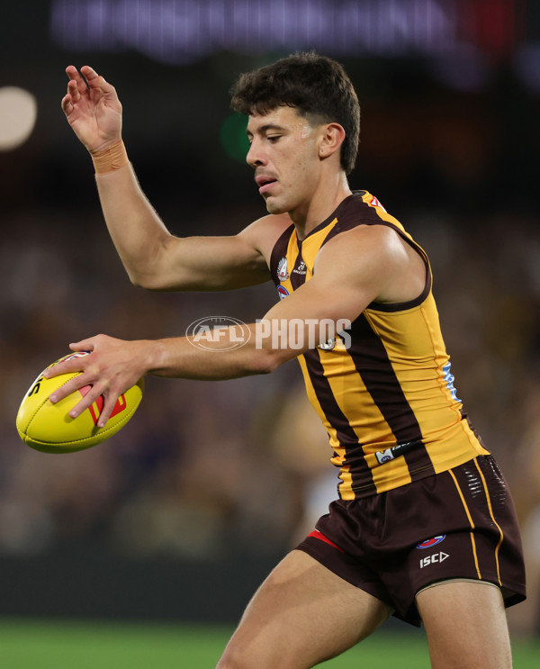 AFL 2025 Round 07 - Hawthorn v West Coast - A-59026644