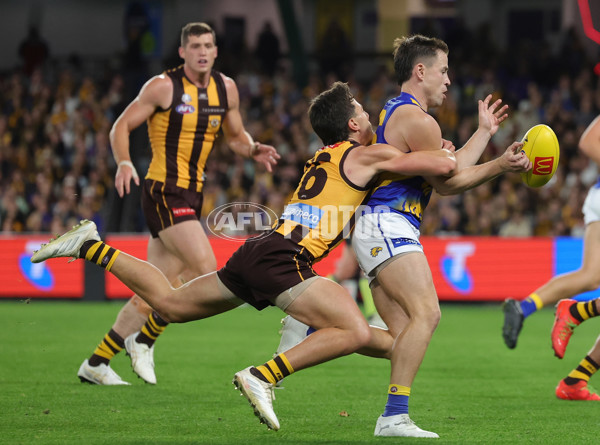 AFL 2025 Round 07 - Hawthorn v West Coast - A-59026661