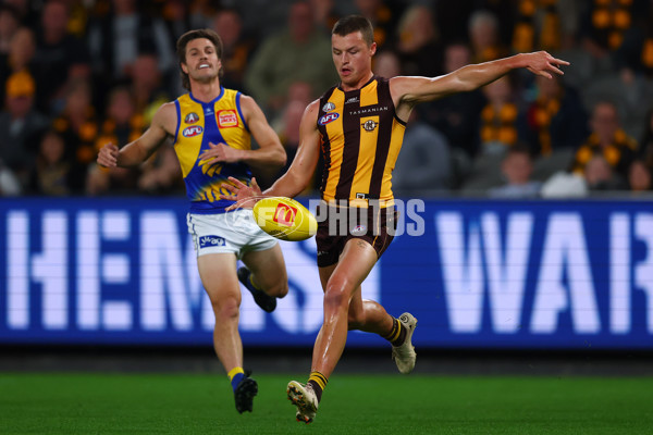 AFL 2025 Round 07 - Hawthorn v West Coast - A-59026662