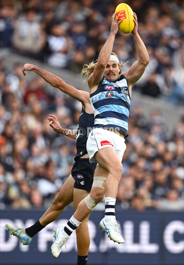 AFL 2025 Round 07 - Carlton v Geelong - A-59026691