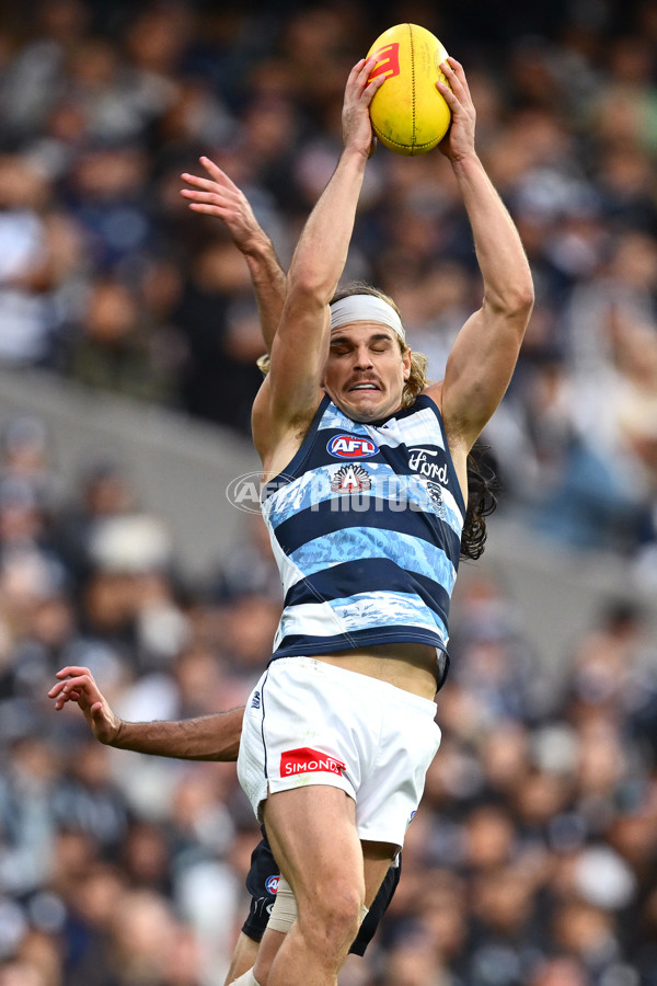 AFL 2025 Round 07 - Carlton v Geelong - A-59026694
