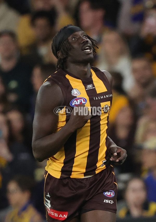 AFL 2025 Round 07 - Hawthorn v West Coast - A-59026712