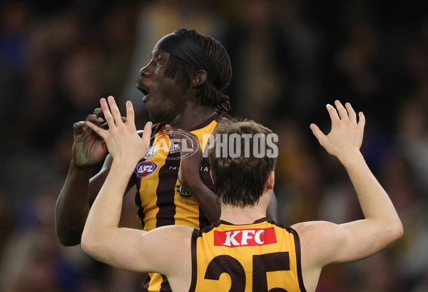 AFL 2025 Round 07 - Hawthorn v West Coast - A-59028661
