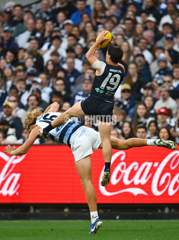 AFL 2025 Round 07 - Carlton v Geelong - A-59028678