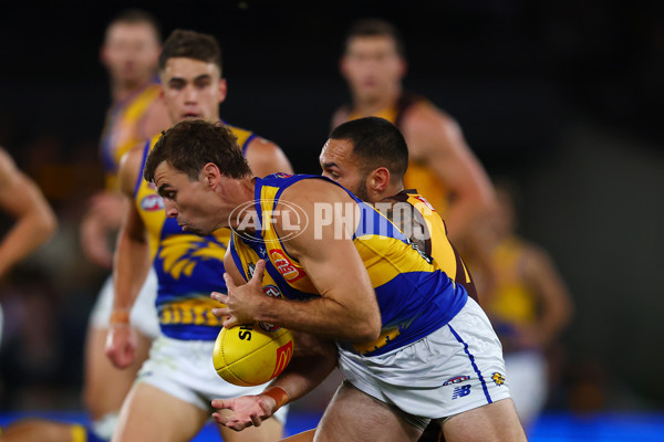 AFL 2025 Round 07 - Hawthorn v West Coast - A-59028701