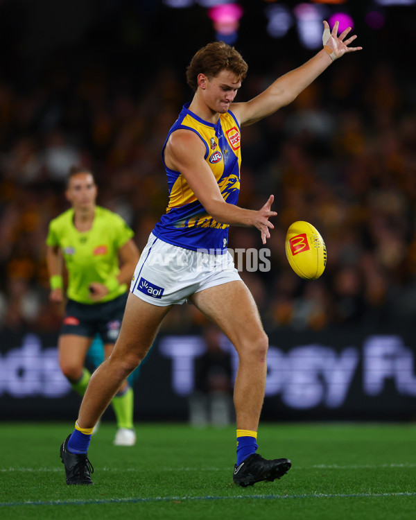 AFL 2025 Round 07 - Hawthorn v West Coast - A-59028702