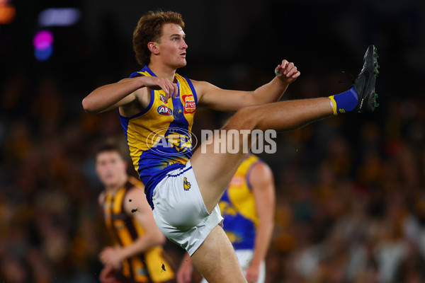 AFL 2025 Round 07 - Hawthorn v West Coast - A-59028703