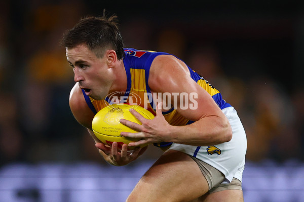 AFL 2025 Round 07 - Hawthorn v West Coast - A-59028738