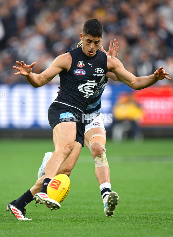 AFL 2025 Round 07 - Carlton v Geelong - A-59029365