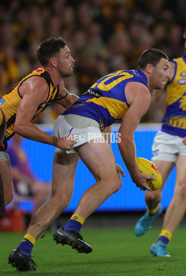 AFL 2025 Round 07 - Hawthorn v West Coast - A-59029370