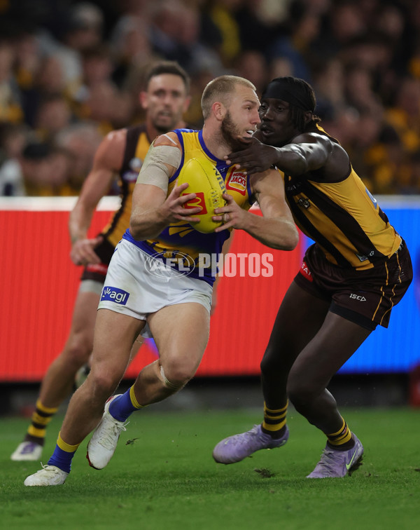 AFL 2025 Round 07 - Hawthorn v West Coast - A-59029372