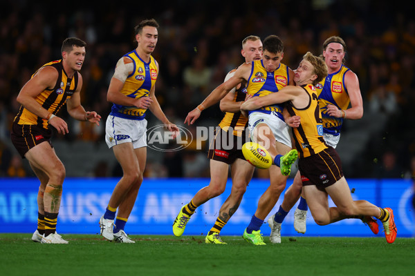 AFL 2025 Round 07 - Hawthorn v West Coast - A-59029374