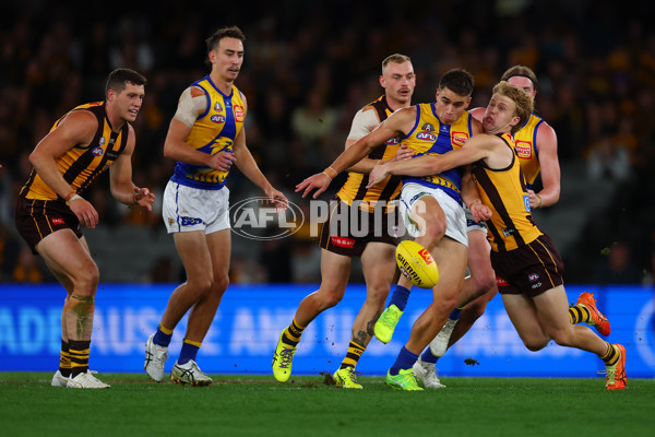 AFL 2025 Round 07 - Hawthorn v West Coast - A-59029376