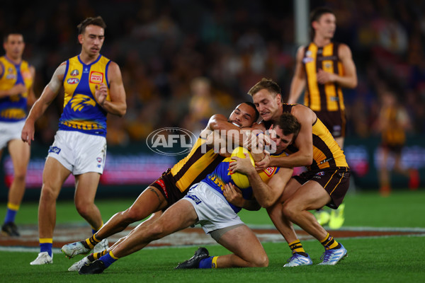 AFL 2025 Round 07 - Hawthorn v West Coast - A-59029377