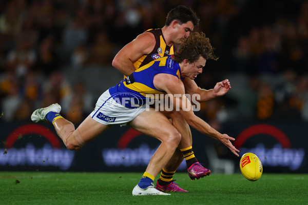 AFL 2025 Round 07 - Hawthorn v West Coast - A-59029381