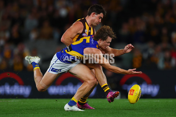 AFL 2025 Round 07 - Hawthorn v West Coast - A-59029382