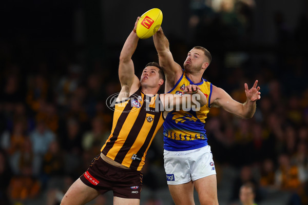 AFL 2025 Round 07 - Hawthorn v West Coast - A-59029383