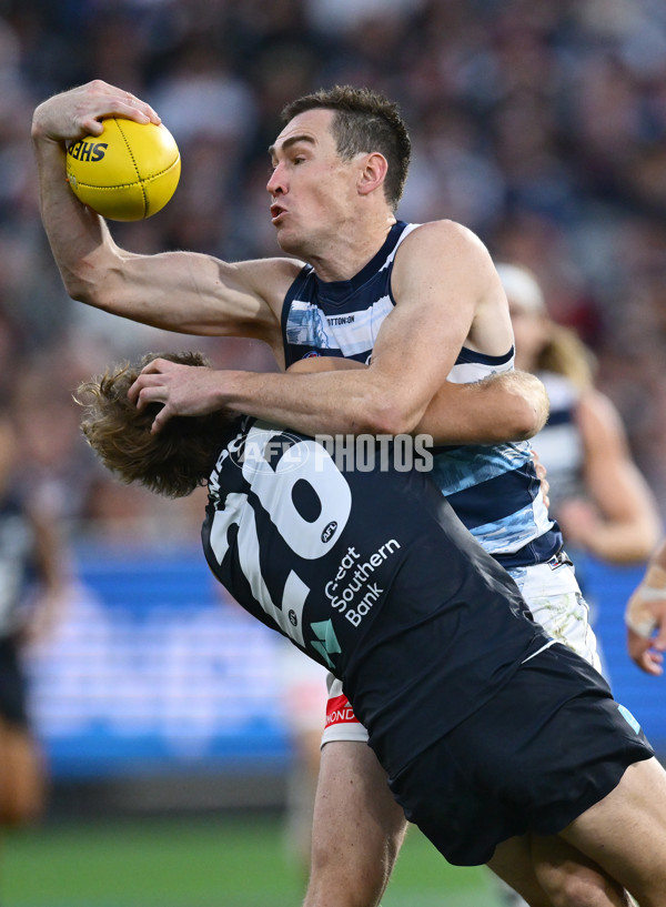 AFL 2025 Round 07 - Carlton v Geelong - A-59029417