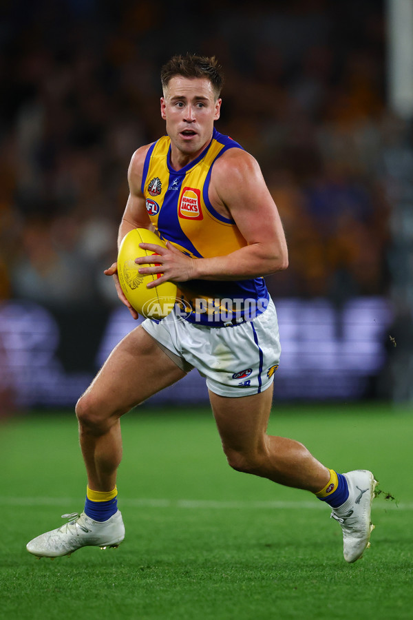 AFL 2025 Round 07 - Hawthorn v West Coast - A-59029421