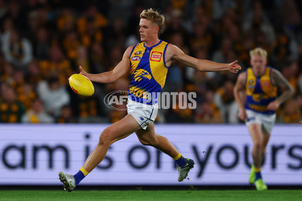 AFL 2025 Round 07 - Hawthorn v West Coast - A-59029422