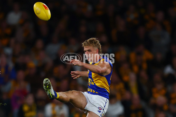 AFL 2025 Round 07 - Hawthorn v West Coast - A-59029425