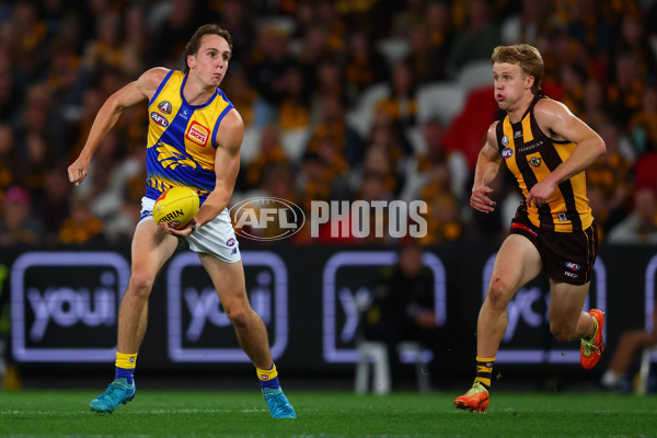 AFL 2025 Round 07 - Hawthorn v West Coast - A-59029432