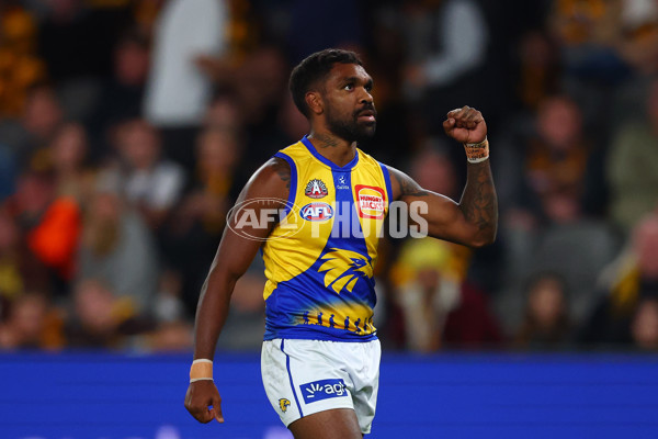 AFL 2025 Round 07 - Hawthorn v West Coast - A-59029445