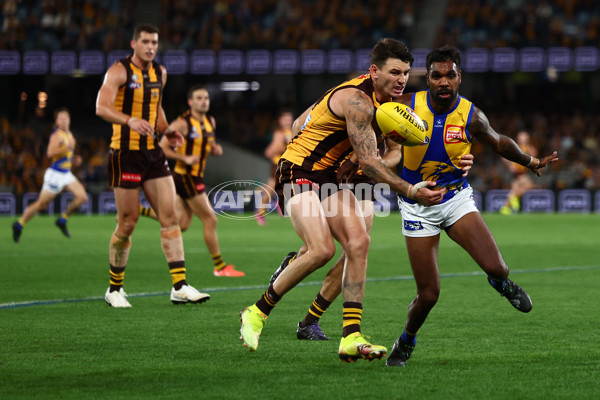 AFL 2025 Round 07 - Hawthorn v West Coast - A-59029446