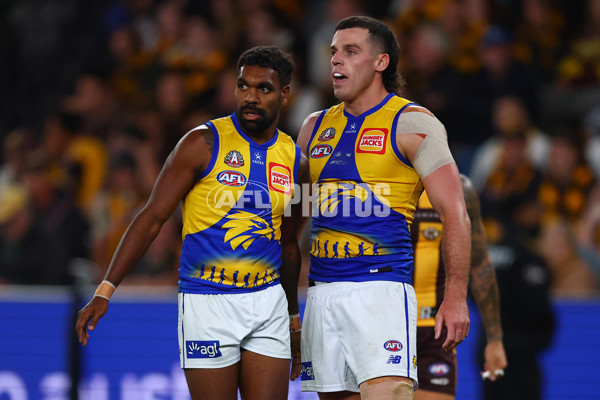 AFL 2025 Round 07 - Hawthorn v West Coast - A-59029447