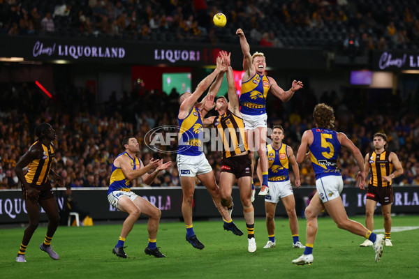AFL 2025 Round 07 - Hawthorn v West Coast - A-59029449