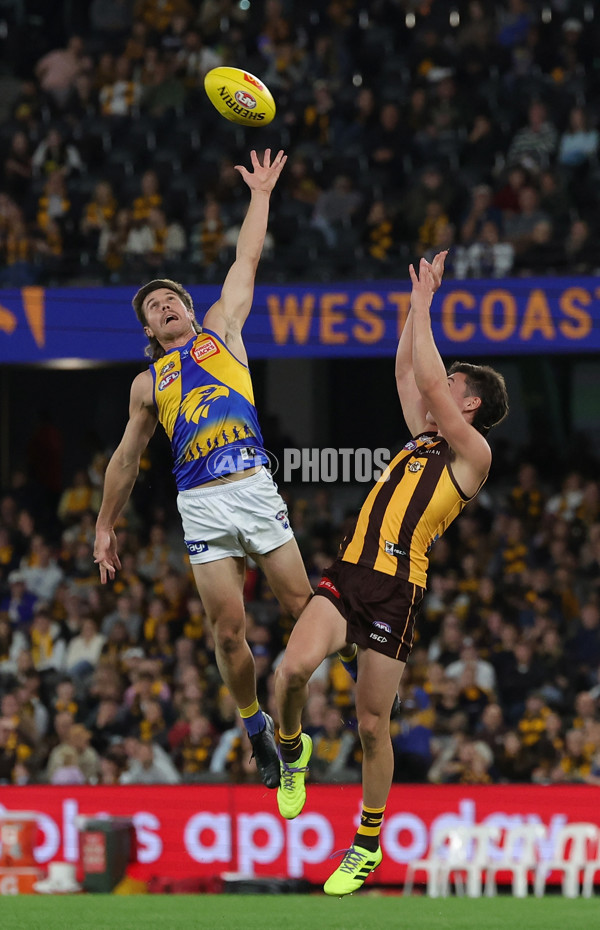 AFL 2025 Round 07 - Hawthorn v West Coast - A-59031489
