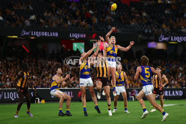 AFL 2025 Round 07 - Hawthorn v West Coast - A-59031491