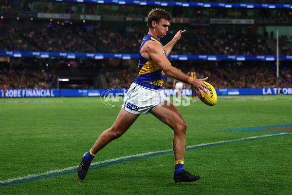 AFL 2025 Round 07 - Hawthorn v West Coast - A-59031497