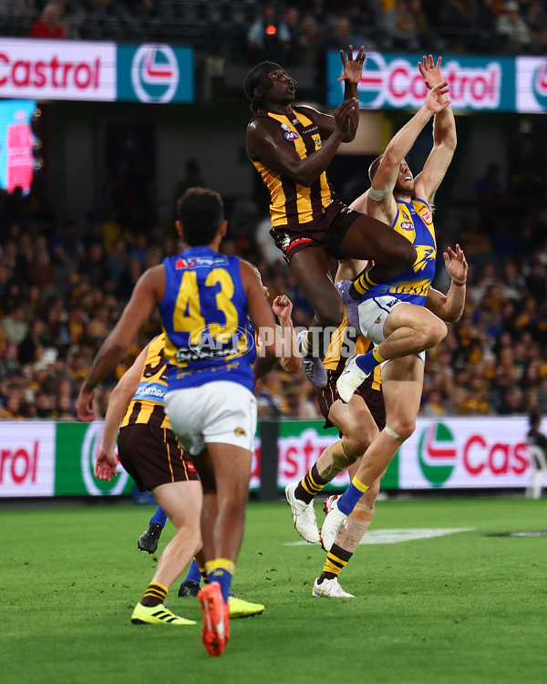 AFL 2025 Round 07 - Hawthorn v West Coast - A-59031498