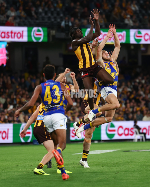 AFL 2025 Round 07 - Hawthorn v West Coast - A-59031499