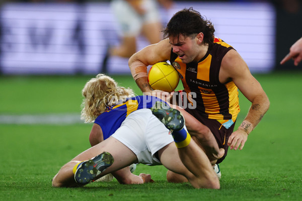 AFL 2025 Round 07 - Hawthorn v West Coast - A-59031523