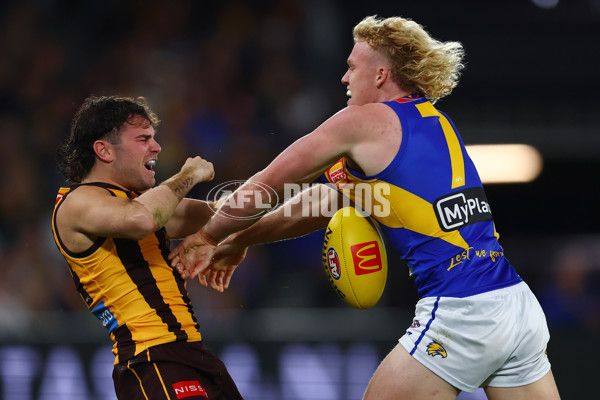 AFL 2025 Round 07 - Hawthorn v West Coast - A-59031524
